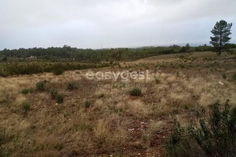 Helårsgrund i Castelo Branco, Castelo Branco, Castelo Branco - € 65.000 | Ref: CB95453MA - foto 5
