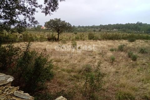 Helårsgrund i Castelo Branco, Castelo Branco, Castelo Branco - € 65.000 | Ref: CB95453MA - foto 6