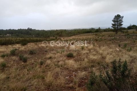 Helårsgrund i Castelo Branco, Castelo Branco, Castelo Branco - € 65.000 | Ref: CB95453MA - foto 7