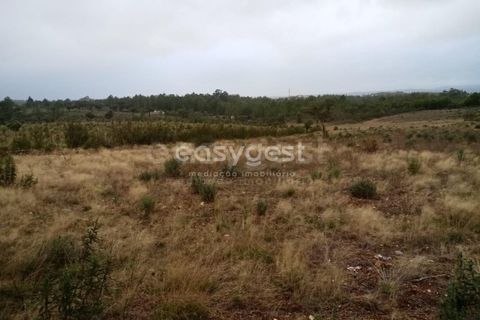 Helårsgrund i Castelo Branco, Castelo Branco, Castelo Branco - € 65.000 | Ref: CB95453MA - foto 9