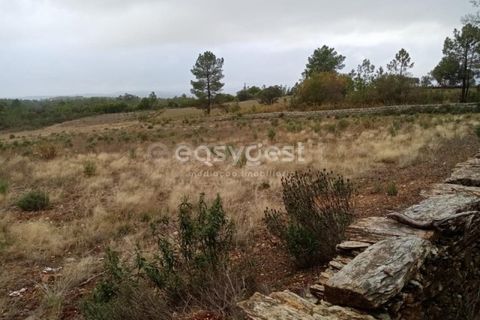 Helårsgrund i Castelo Branco, Castelo Branco, Castelo Branco - € 65.000 | Ref: CB95453MA - foto 10