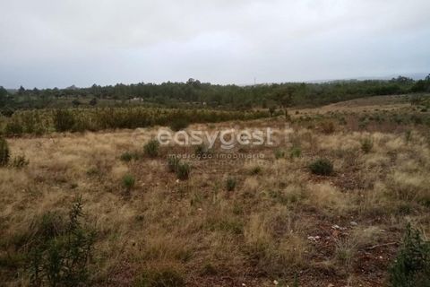 Helårsgrund i Castelo Branco, Castelo Branco, Castelo Branco - € 65.000 | Ref: CB95453MA - foto 11