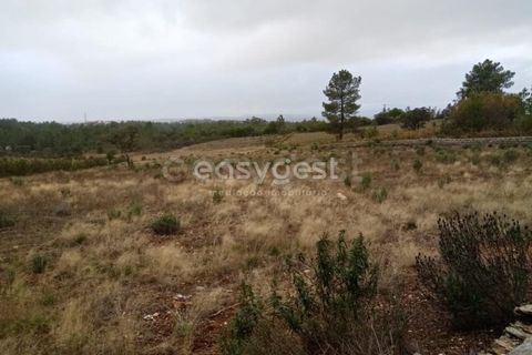 Helårsgrund i Castelo Branco, Castelo Branco, Castelo Branco - € 65.000 | Ref: CB95453MA - foto 13