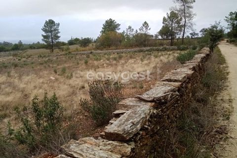 Helårsgrund i Castelo Branco, Castelo Branco, Castelo Branco - € 65.000 | Ref: CB95453MA - foto 14
