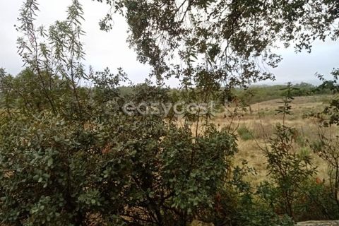 Helårsgrund i Castelo Branco, Castelo Branco, Castelo Branco - € 65.000 | Ref: CB95453MA - foto 15