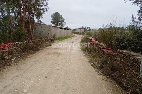 Helårsgrund i Castelo Branco, Castelo Branco, Castelo Branco - € 65.000 | Ref: CB95453MA - foto 16