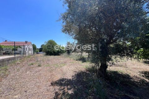 Helårsgrund i Tomar, Santarem, Tomar - € 67.000 | Ref: TM95830 - foto 1