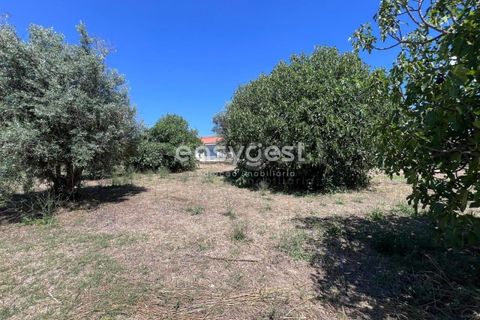 Helårsgrund i Tomar, Santarem, Tomar - € 67.000 | Ref: TM95830 - foto 2