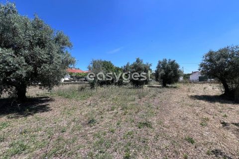 Helårsgrund i Tomar, Santarem, Tomar - € 67.000 | Ref: TM95830 - foto 5