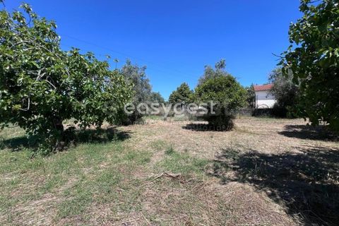 Helårsgrund i Tomar, Santarem, Tomar - € 67.000 | Ref: TM95830 - foto 6