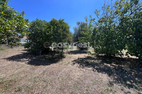 Helårsgrund i Tomar, Santarem, Tomar - € 67.000 | Ref: TM95830 - foto 7