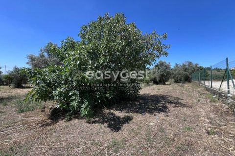 Helårsgrund i Tomar, Santarem, Tomar - € 67.000 | Ref: TM95830 - foto 9