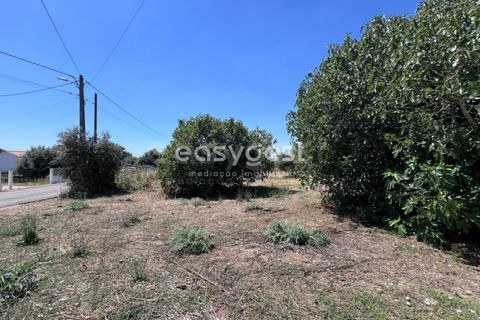 Helårsgrund i Tomar, Santarem, Tomar - € 67.000 | Ref: TM95830 - foto 10