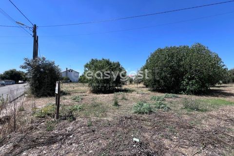 Helårsgrund i Tomar, Santarem, Tomar - € 67.000 | Ref: TM95830 - foto 12