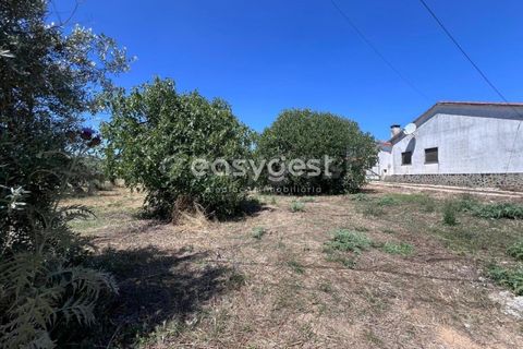 Helårsgrund i Tomar, Santarem, Tomar - € 67.000 | Ref: TM95830 - foto 13