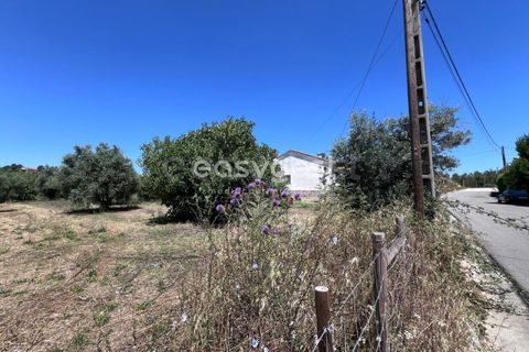 Helårsgrund i Tomar, Santarem, Tomar - € 67.000 | Ref: TM95830 - foto 15