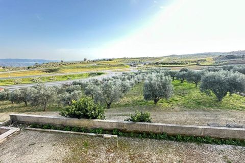 Farm i Vila Flor, Braganca, Vila Flor - € 690.000 | Ref: BG95400TM - foto 17