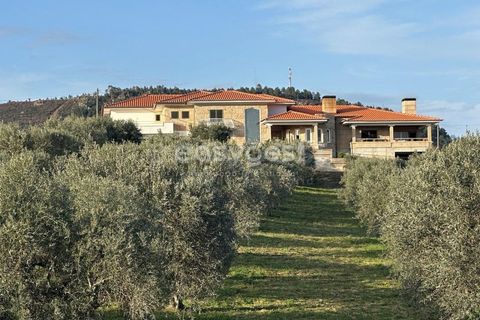 Farm i Vila Flor, Braganca, Vila Flor - € 690.000 | Ref: BG95400TM - foto 21