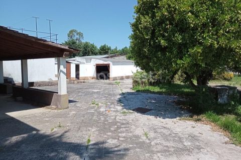 Villa em Cernache, Coimbra, Cernache - € 265.000 | Ref: RR95779 - foto 5