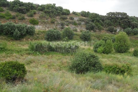 Villa i Alcanena, Santarem, Alcanena - € 220.000 | Ref: TM95379 - foto 22