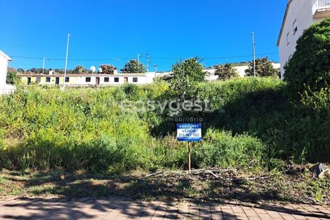 Terra a Torre de Moncorvo, Braganca, Torre de Moncorvo - € 35.000 | Ref: BG95613MG - foto 2