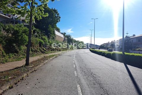 Terra a Torre de Moncorvo, Braganca, Torre de Moncorvo - € 35.000 | Ref: BG95613MG - foto 3