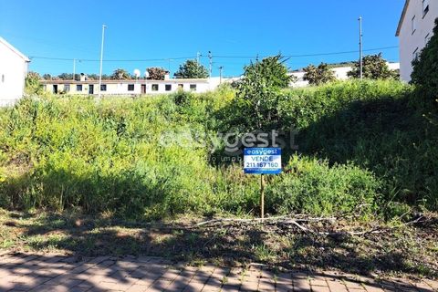 Terra a Torre de Moncorvo, Braganca, Torre de Moncorvo - € 35.000 | Ref: BG95613MG - foto 4