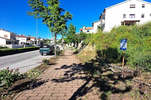 Terra a Torre de Moncorvo, Braganca, Torre de Moncorvo - € 35.000 | Ref: BG95613MG - foto 5