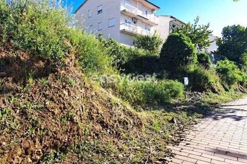 Terra a Torre de Moncorvo, Braganca, Torre de Moncorvo - € 35.000 | Ref: BG95613MG - foto 7