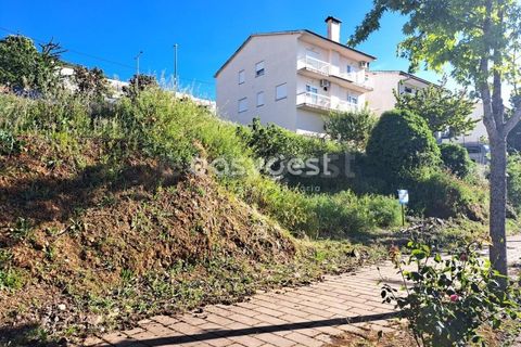 Terra a Torre de Moncorvo, Braganca, Torre de Moncorvo - € 35.000 | Ref: BG95613MG - foto 8