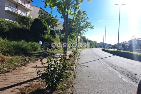 Terra a Torre de Moncorvo, Braganca, Torre de Moncorvo - € 35.000 | Ref: BG95613MG - foto 9