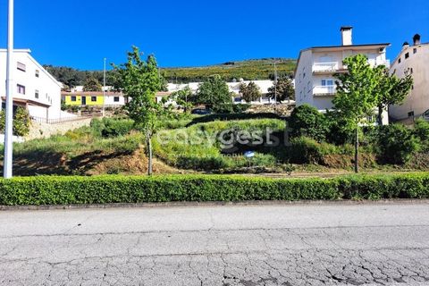 Terra a Torre de Moncorvo, Braganca, Torre de Moncorvo - € 35.000 | Ref: BG95613MG - foto 10