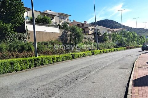 Terra a Torre de Moncorvo, Braganca, Torre de Moncorvo - € 35.000 | Ref: BG95613MG - foto 11