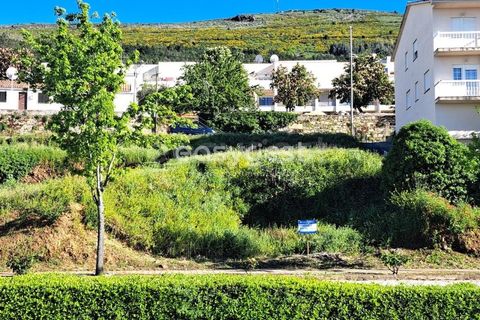 Terra a Torre de Moncorvo, Braganca, Torre de Moncorvo - € 35.000 | Ref: BG95613MG - foto 12