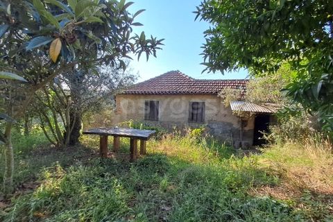 Farm i Dardavaz, Viseu, Dardavaz - € 95.000 | Ref: VS96092 - foto 3