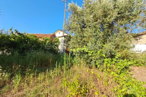 Farm i Dardavaz, Viseu, Dardavaz - € 95.000 | Ref: VS96092 - foto 4