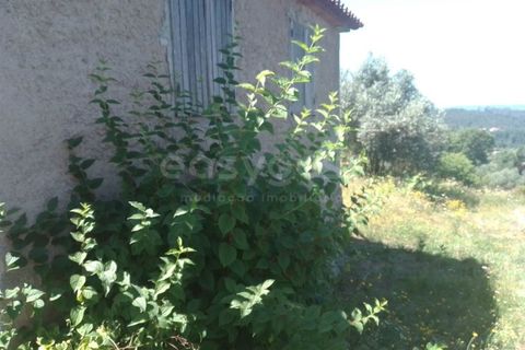 Farm i Dardavaz, Viseu, Dardavaz - € 95.000 | Ref: VS96092 - foto 10