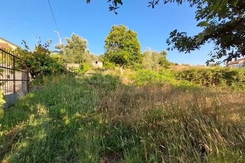 Farm i Dardavaz, Viseu, Dardavaz - € 95.000 | Ref: VS96092 - foto 15