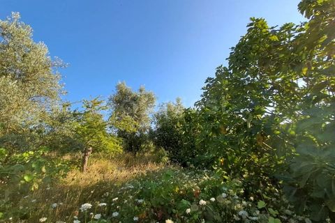 Farm i Dardavaz, Viseu, Dardavaz - € 95.000 | Ref: VS96092 - foto 18