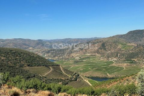 Terra a Torre de Moncorvo, Braganca, Torre de Moncorvo - € 400.000 | Ref: BG95742TM - foto 2