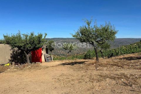 Terra a Torre de Moncorvo, Braganca, Torre de Moncorvo - € 400.000 | Ref: BG95742TM - foto 7