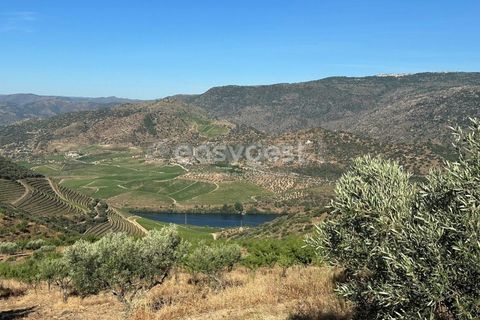Terra a Torre de Moncorvo, Braganca, Torre de Moncorvo - € 400.000 | Ref: BG95742TM - foto 14
