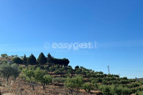 Terra a Torre de Moncorvo, Braganca, Torre de Moncorvo - € 400.000 | Ref: BG95742TM - foto 17