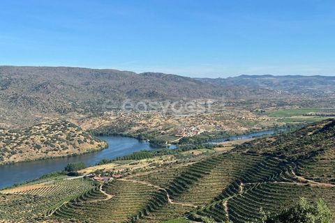 Terra a Torre de Moncorvo, Braganca, Torre de Moncorvo - € 400.000 | Ref: BG95742TM - foto 22