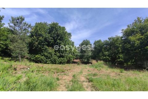 Helårsgrund i Viseu, Viseu, Viseu - € 60.000 | Ref: VS95735 - foto 1