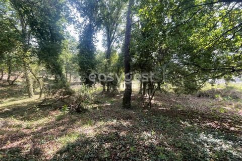 Helårsgrund i Viseu, Viseu, Viseu - € 60.000 | Ref: VS95735 - foto 2