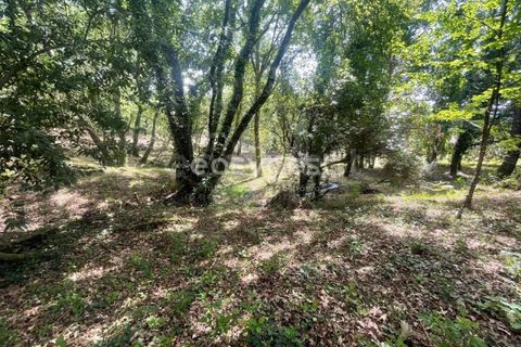 Helårsgrund i Viseu, Viseu, Viseu - € 60.000 | Ref: VS95735 - foto 3