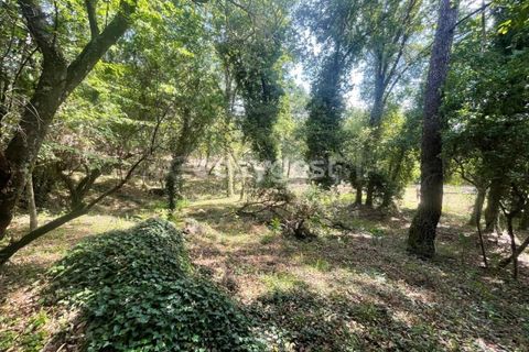 Helårsgrund i Viseu, Viseu, Viseu - € 60.000 | Ref: VS95735 - foto 4