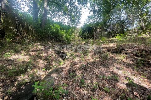 Helårsgrund i Viseu, Viseu, Viseu - € 60.000 | Ref: VS95735 - foto 6