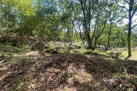 Helårsgrund i Viseu, Viseu, Viseu - € 60.000 | Ref: VS95735 - foto 7